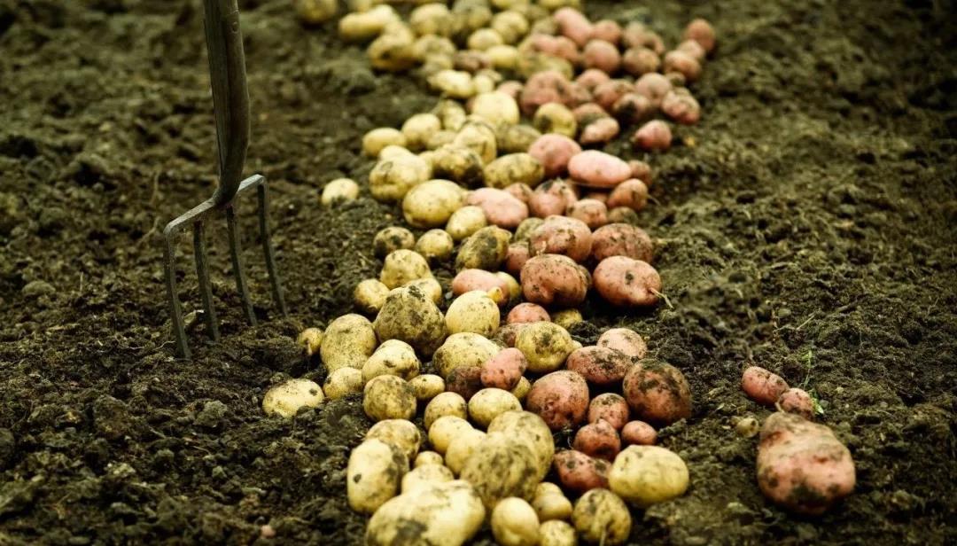 微信图片_20210420211628.jpg 微信图片_20210420211628.jpg