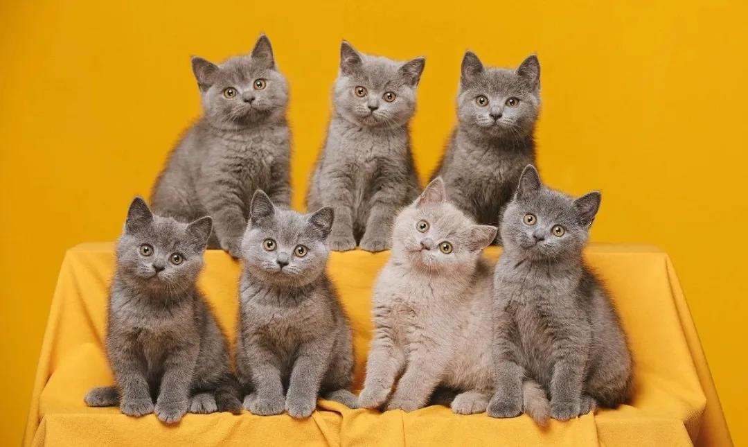 微信图片_20210425174003.jpg 微信图片_20210425174003.jpg