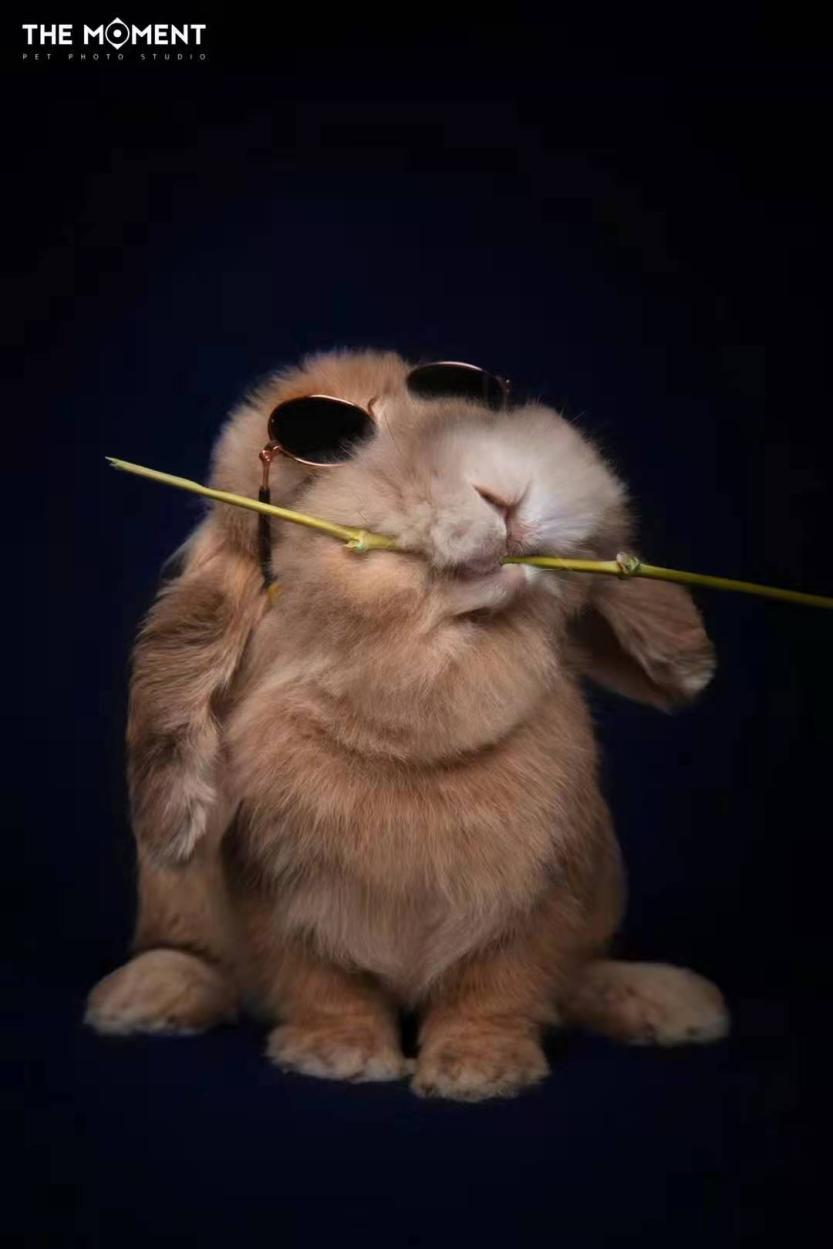 微信图片_20210425174022.png 微信图片_20210425174022.png