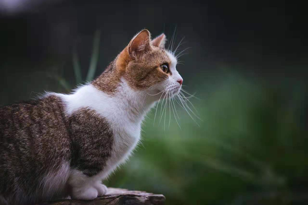 微信图片_20210425174019.png 微信图片_20210425174019.png