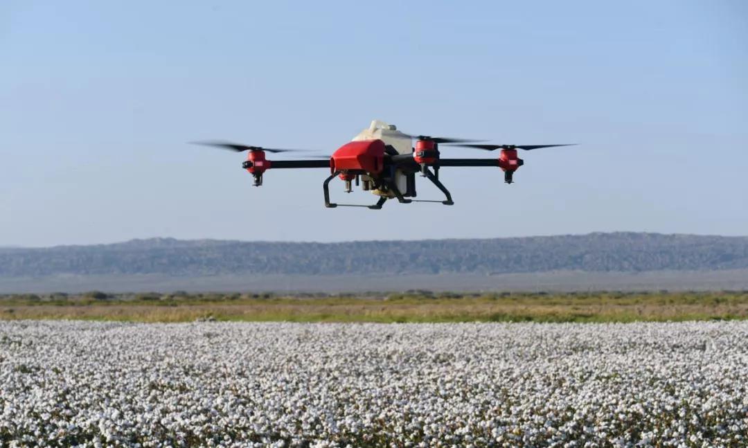 微信图片_20211009220917.jpg 微信图片_20211009220917.jpg