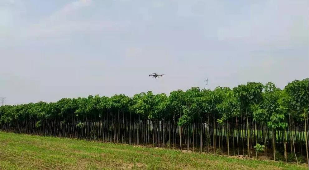 微信图片_20211009220926.jpg 微信图片_20211009220926.jpg