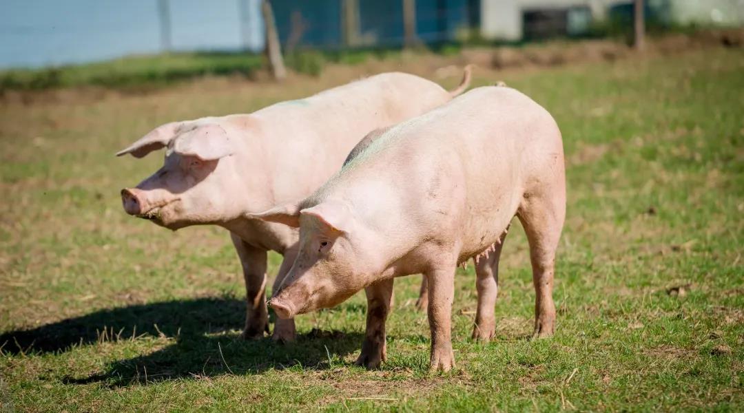 微信图片_20211101231347.jpg 微信图片_20211101231347.jpg